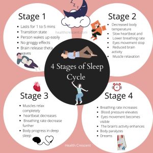4 Different Stages of Sleep Cycle -Health Crescent