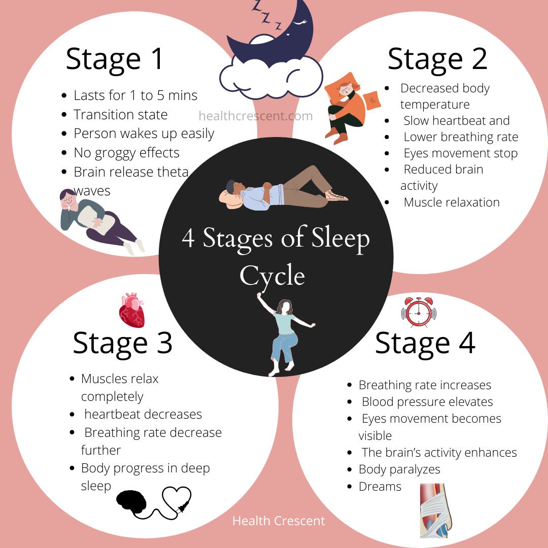4 Different Stages Of Sleep Cycle - Health Crescent