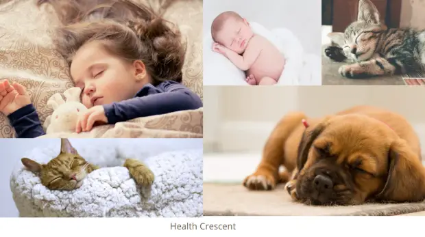 Benefits and importance of good sleep for good health - Health Crescent