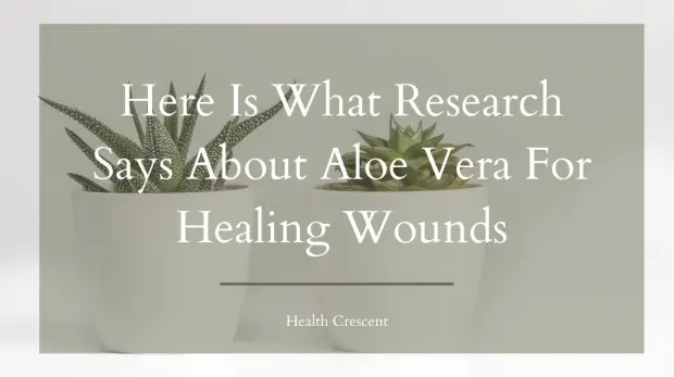 Here Is What Research Says About Aloe Vera For Healing Wounds- Health Crescent - We care about health