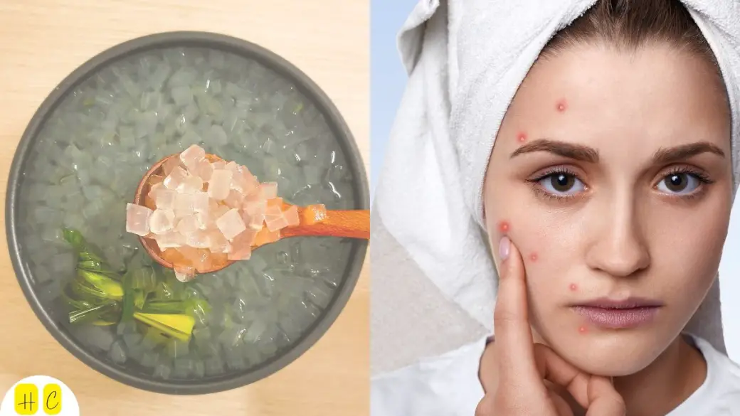 How to apply aloe vera on skin on appy vera on face - Health Crescent