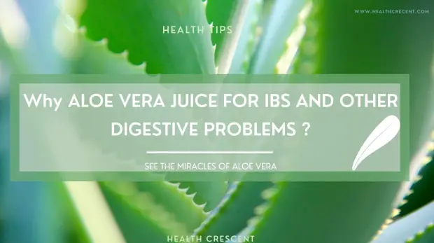 benefits of aloe vera juice for ibs and other digestive problems-Health Crescent