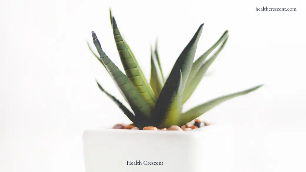 Aloe Vera Gel For Digestive Problems- health crescent