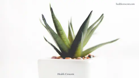 Aloe Vera Gel For Digestive Problems- health crescent